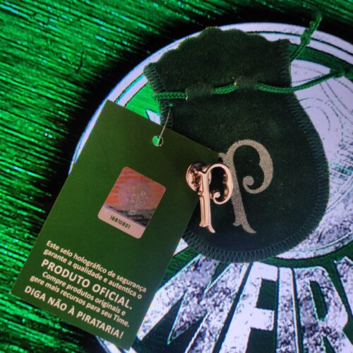 Pin Palmeiras 2017
