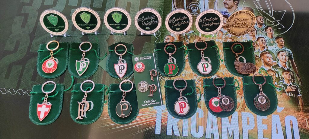 chaveiro palmeiras