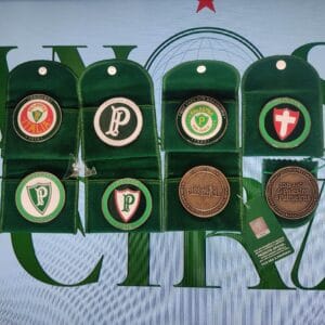 combo 8 moedas palmeiras