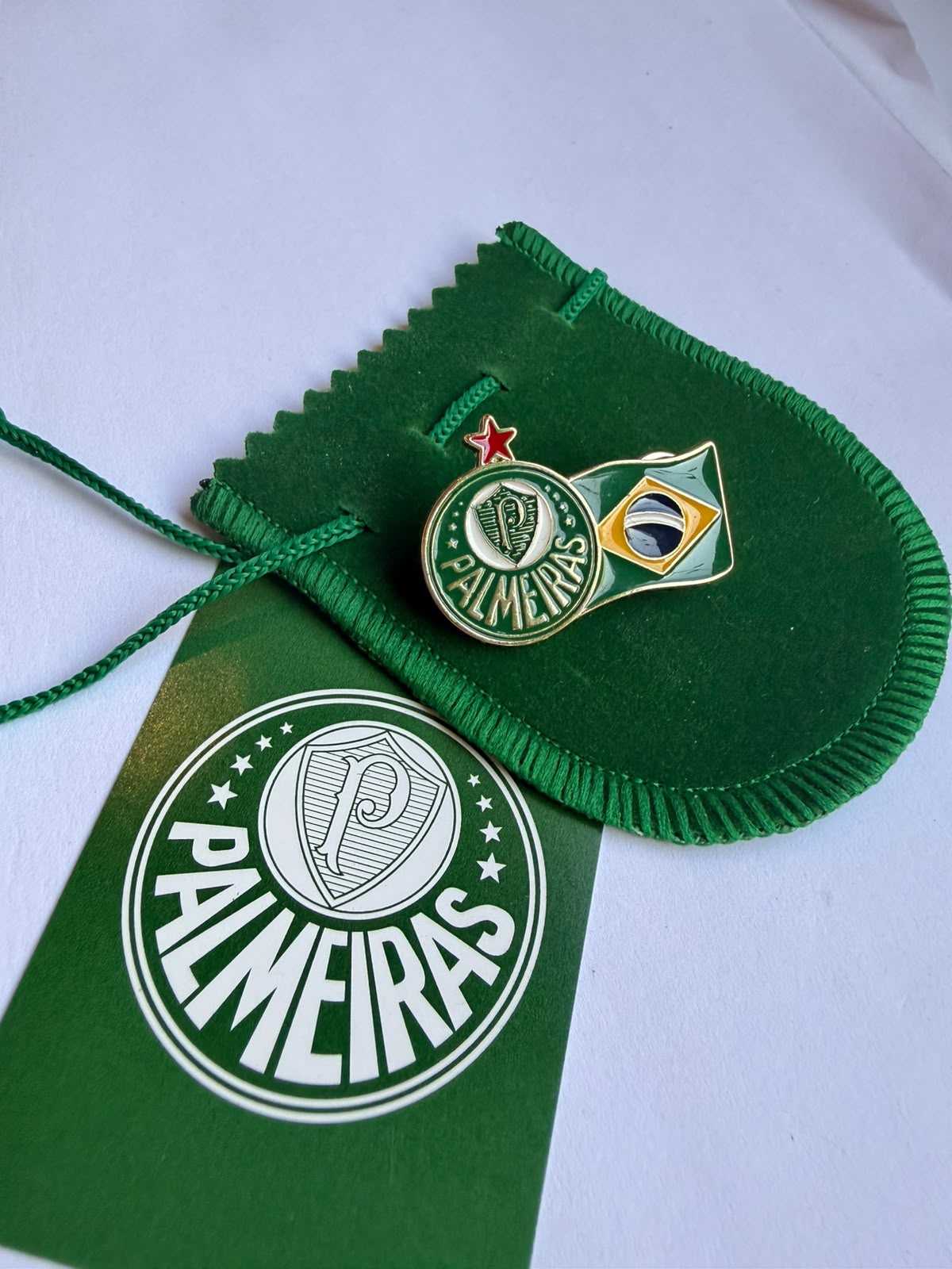 Pin palmeiras x brasil prateado oficial | Sabiart - Imagem 6